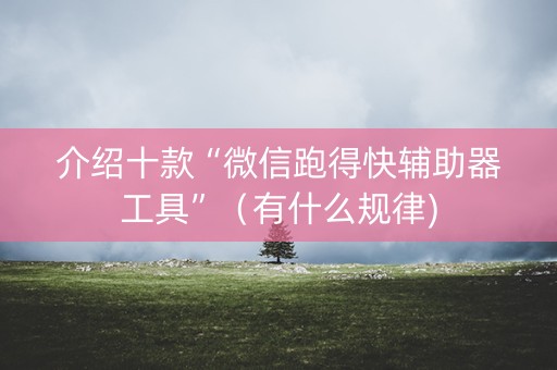 介绍十款“微信跑得快辅助器工具”（有什么规律)