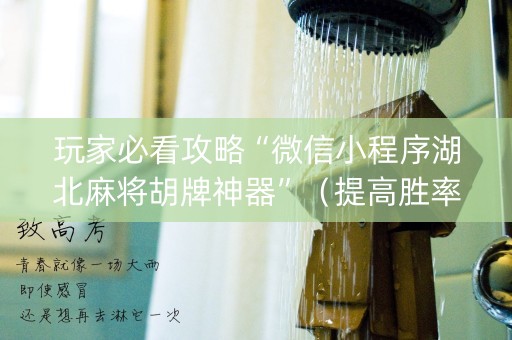 玩家必看攻略“微信小程序湖北麻将胡牌神器”（提高胜率技巧)