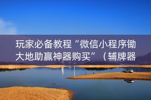 玩家必备教程“微信小程序锄大地助赢神器购买”（辅牌器插件购买)