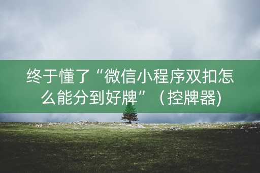 终于懂了“微信小程序双扣怎么能分到好牌”（控牌器)