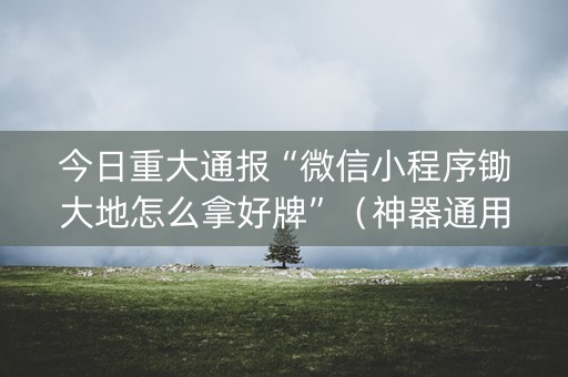 今日重大通报“微信小程序锄大地怎么拿好牌”（神器通用版)