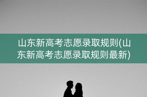 山东新高考志愿录取规则(山东新高考志愿录取规则最新)