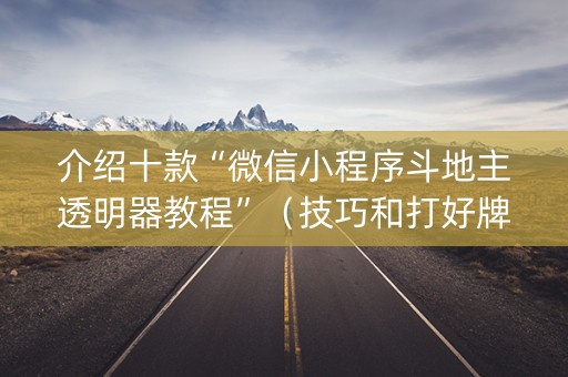 介绍十款“微信小程序斗地主透明器教程”（技巧和打好牌方法)