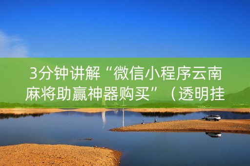 3分钟讲解“微信小程序云南麻将助赢神器购买”（透明挂辅助器)