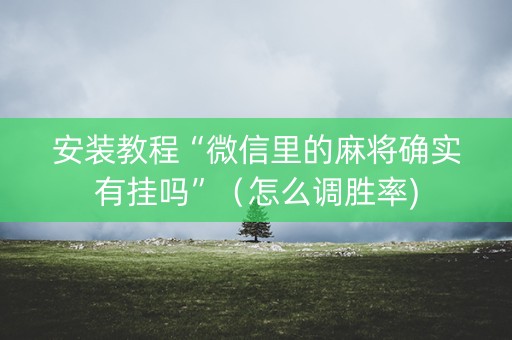 安装教程“微信里的麻将确实有挂吗”（怎么调胜率)