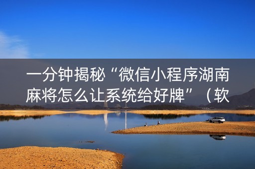 一分钟揭秘“微信小程序湖南麻将怎么让系统给好牌”（软挂神器)
