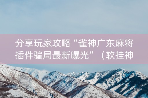 分享玩家攻略“雀神广东麻将插件骗局最新曝光”（软挂神器)