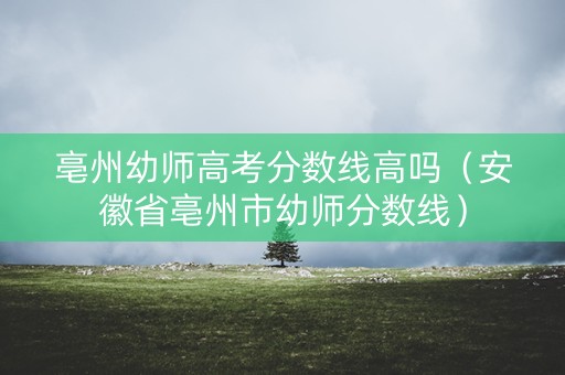 亳州幼师高考分数线高吗（安徽省亳州市幼师分数线）