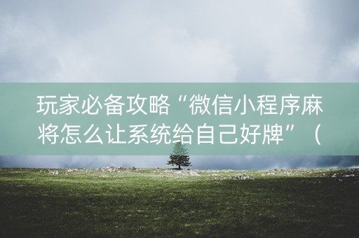 玩家必备攻略“微信小程序麻将怎么让系统给自己好牌”（有没有猫腻)