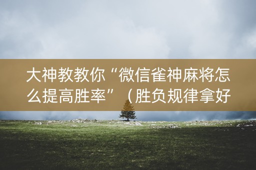 大神教教你“微信雀神麻将怎么提高胜率”（胜负规律拿好牌)