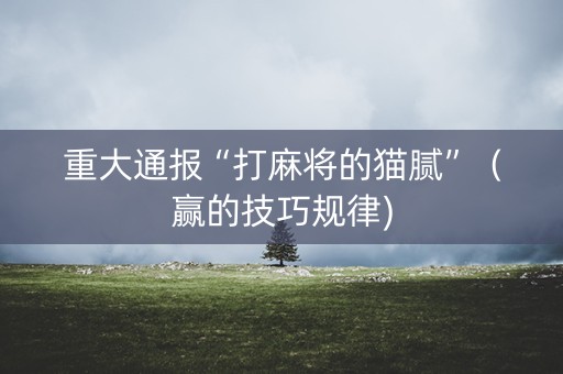 重大通报“打麻将的猫腻”（赢的技巧规律)