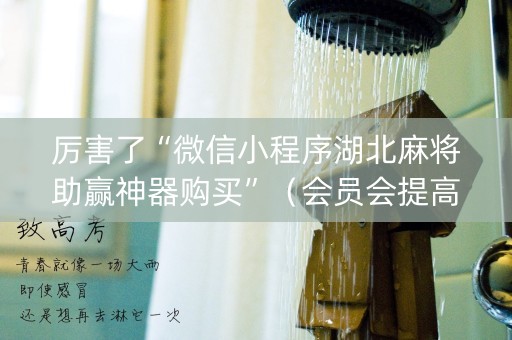 厉害了“微信小程序湖北麻将助赢神器购买”（会员会提高胜率吗)