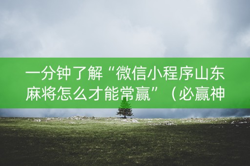 一分钟了解“微信小程序山东麻将怎么才能常赢”（必赢神器免费安装)