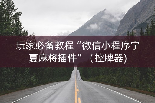 玩家必备教程“微信小程序宁夏麻将插件”（控牌器)