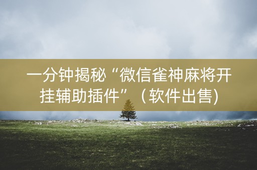 一分钟揭秘“微信雀神麻将开挂辅助插件”（软件出售)