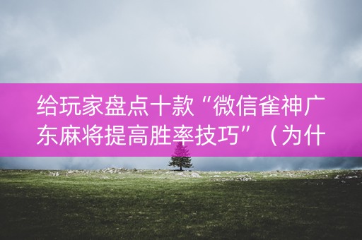 给玩家盘点十款“微信雀神广东麻将提高胜率技巧”（为什么有人一直赢)