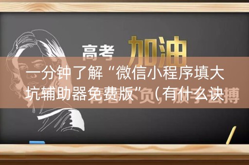 一分钟了解“微信小程序填大坑辅助器免费版”（有什么诀窍)