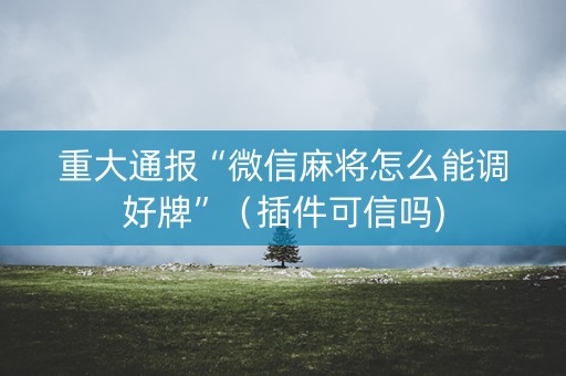 重大通报“微信麻将怎么能调好牌”（插件可信吗)