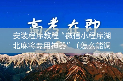 安装程序教程“微信小程序湖北麻将专用神器”（怎么能调好牌)