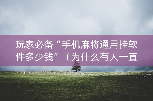 玩家必备“手机麻将通用挂软件多少钱”（为什么有人一直赢)