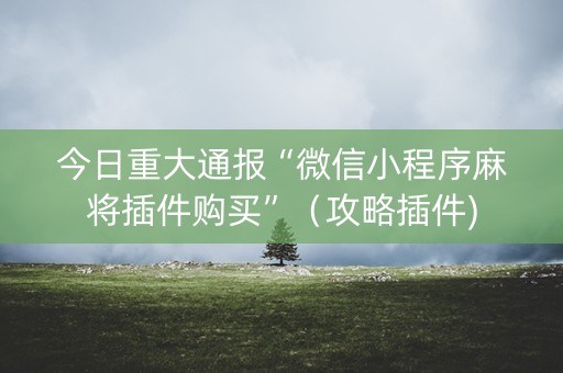 今日重大通报“微信小程序麻将插件购买”（攻略插件)