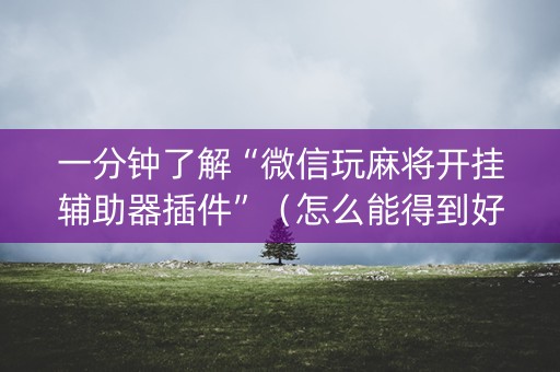 一分钟了解“微信玩麻将开挂辅助器插件”（怎么能得到好牌)
