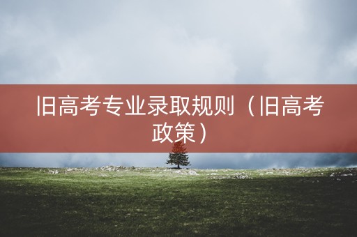 旧高考专业录取规则（旧高考政策）