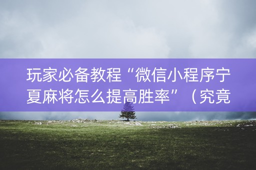 玩家必备教程“微信小程序宁夏麻将怎么提高胜率”（究竟是不是有挂)