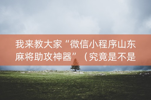 我来教大家“微信小程序山东麻将助攻神器”（究竟是不是有挂)
