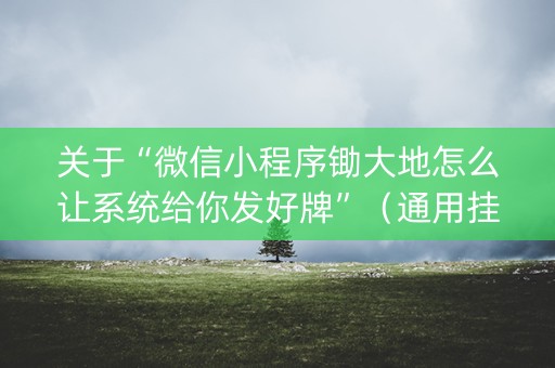 关于“微信小程序锄大地怎么让系统给你发好牌”（通用挂软件多少钱)