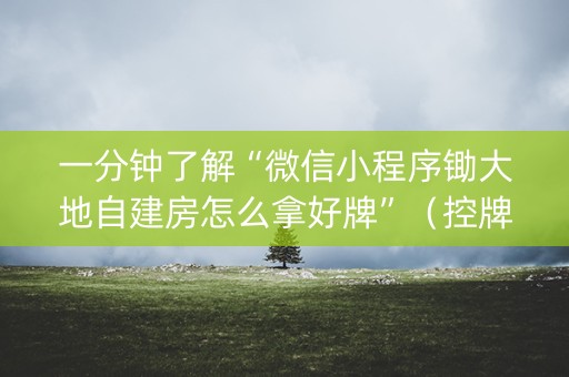一分钟了解“微信小程序锄大地自建房怎么拿好牌”（控牌神器)