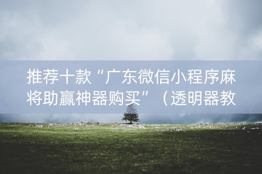 推荐十款“广东微信小程序麻将助赢神器购买”（透明器教程)