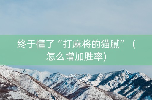 终于懂了“打麻将的猫腻”（怎么增加胜率)