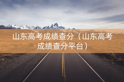 山东高考成绩查分（山东高考成绩查分平台）