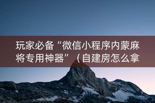 玩家必备“微信小程序内蒙麻将专用神器”（自建房怎么拿好牌)