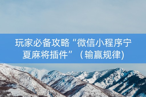 玩家必备攻略“微信小程序宁夏麻将插件”（输赢规律)
