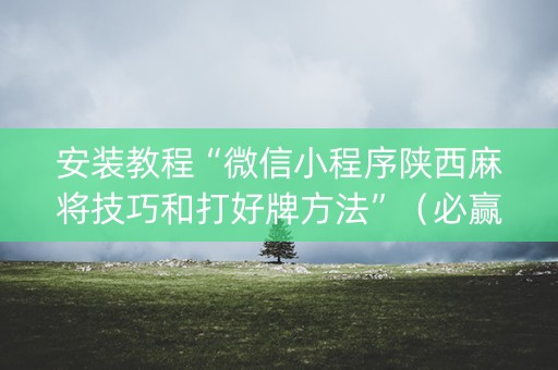安装教程“微信小程序陕西麻将技巧和打好牌方法”（必赢神器)