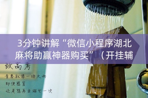 3分钟讲解“微信小程序湖北麻将助赢神器购买”（开挂辅助器脚本)
