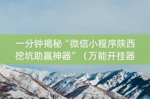 一分钟揭秘“微信小程序陕西挖坑助赢神器”（万能开挂器)