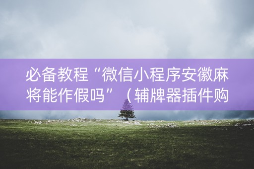 必备教程“微信小程序安徽麻将能作假吗”（辅牌器插件购买)