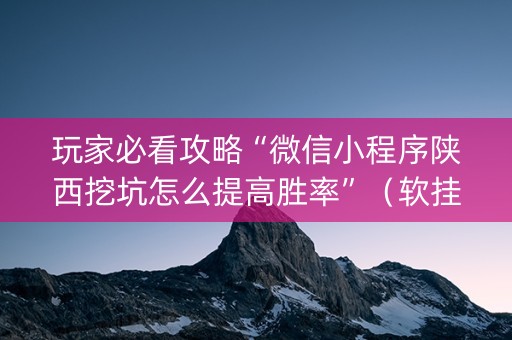 玩家必看攻略“微信小程序陕西挖坑怎么提高胜率”（软挂神器)
