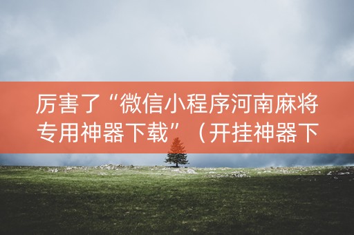 厉害了“微信小程序河南麻将专用神器下载”（开挂神器下载)