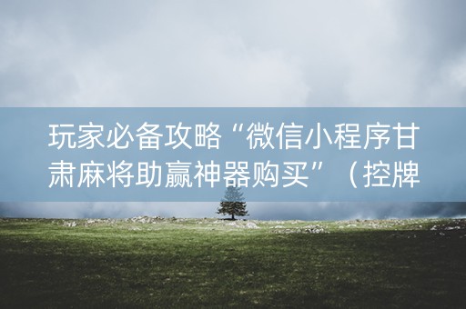 玩家必备攻略“微信小程序甘肃麻将助赢神器购买”（控牌器)