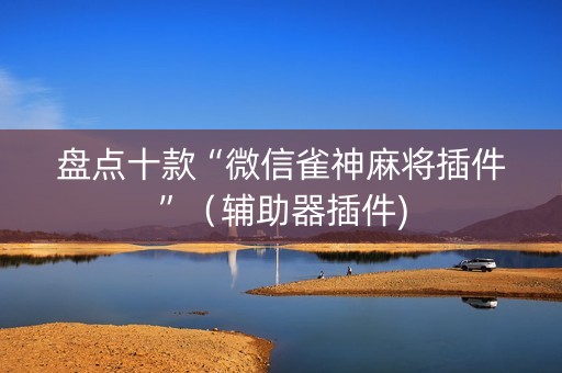 盘点十款“微信雀神麻将插件”（辅助器插件)