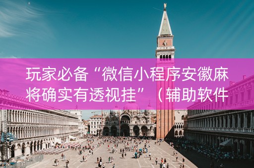 玩家必备“微信小程序安徽麻将确实有透视挂”（辅助软件)