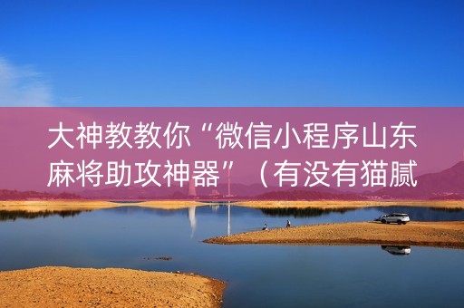 大神教教你“微信小程序山东麻将助攻神器”（有没有猫腻)