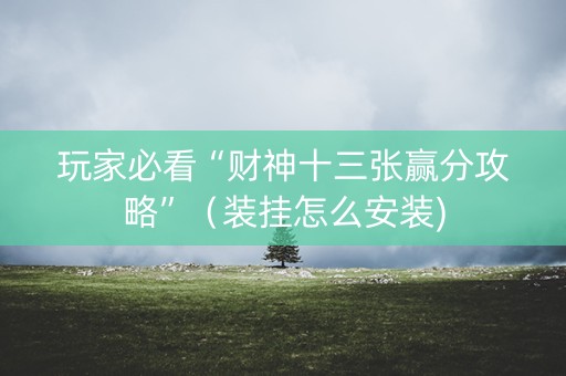 玩家必看“财神十三张赢分攻略”（装挂怎么安装)