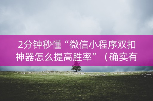 2分钟秒懂“微信小程序双扣神器怎么提高胜率”（确实有插件吗)