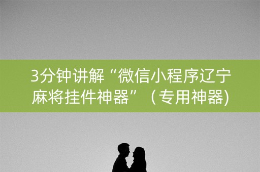 3分钟讲解“微信小程序辽宁麻将挂件神器”（专用神器)