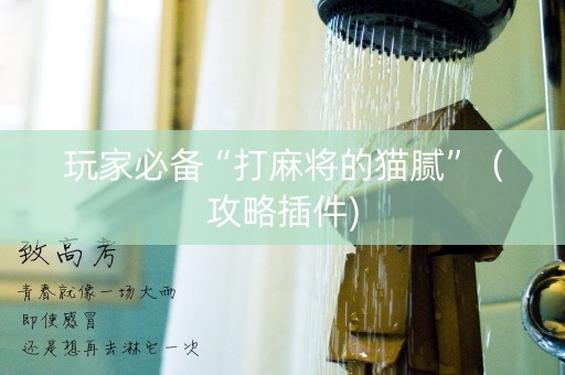 玩家必备“打麻将的猫腻”（攻略插件)